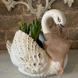 Swan Lake